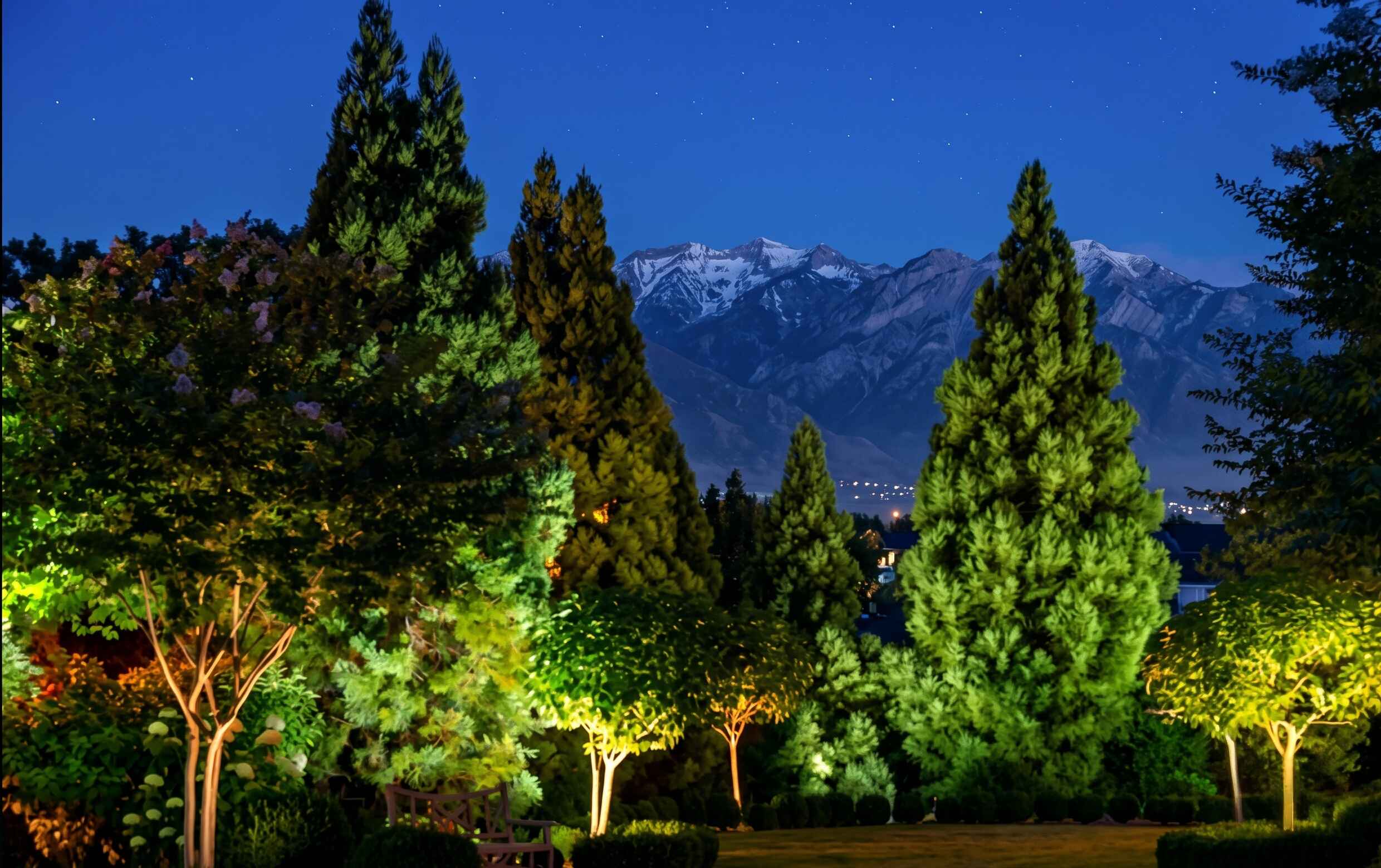 Landscape lighting installation Utah by Elite Electric — professionally lit home exterior